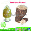 High Quality/Factory Supply Natural Poria Cocos Root Extract Powder 10%-50% Polysaccharide 5:1 10:1